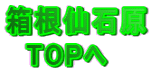 Ό @TOP