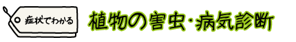 「園芸・観葉植物の害虫･病気」図鑑